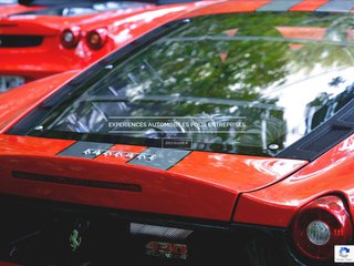 Les Rallyes : des véhicules adaptés pour faire du team building automobile